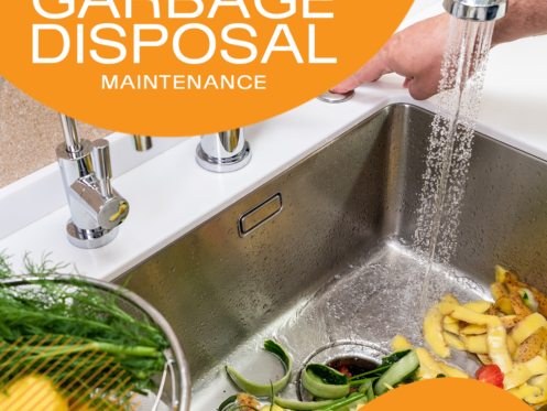 The Complete Guide to Garbage Disposal Maintenance